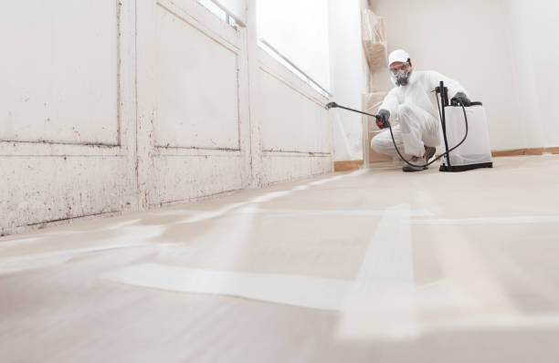 24/7 Emergency Mold Remediation experts in Riverview, MI